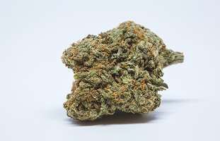 Blue cheese bud strain for sale