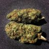 Chemdawg marijuana strain for sale
