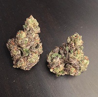 Gelato weed strain for sale