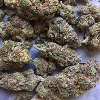 Gelato weed strain for sale with BTC