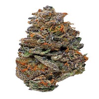 Girl scout cookies strain for sale