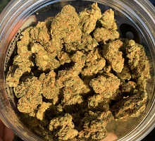 Jack Herer weed strain for sale with BTC