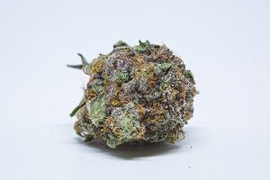 OG kush marijuana strain for sale