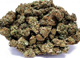 OG kush marijuana strain for sale with BTC