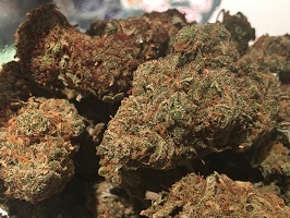 White widow weed strain for sale with BTC