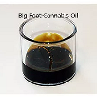 Buy Big foot II cannabis oil online with bitcoin