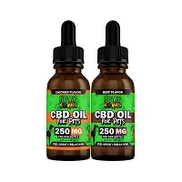 HempBombs CBD oil for sale online