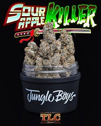 Buy Jungle Boys Weed Online in the UK