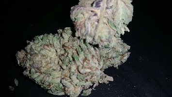 Buy Super Lemon Haze online