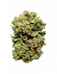 Afghan Kush for Sale