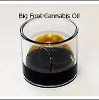 Order Big Foot II Cannabis Oil in China