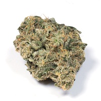 Buy Durban Poison cannabis
