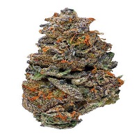 Buy Girl Scout Cookies weed