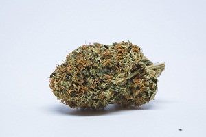 Buy Obama OG weed online