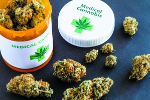 Drug shop web